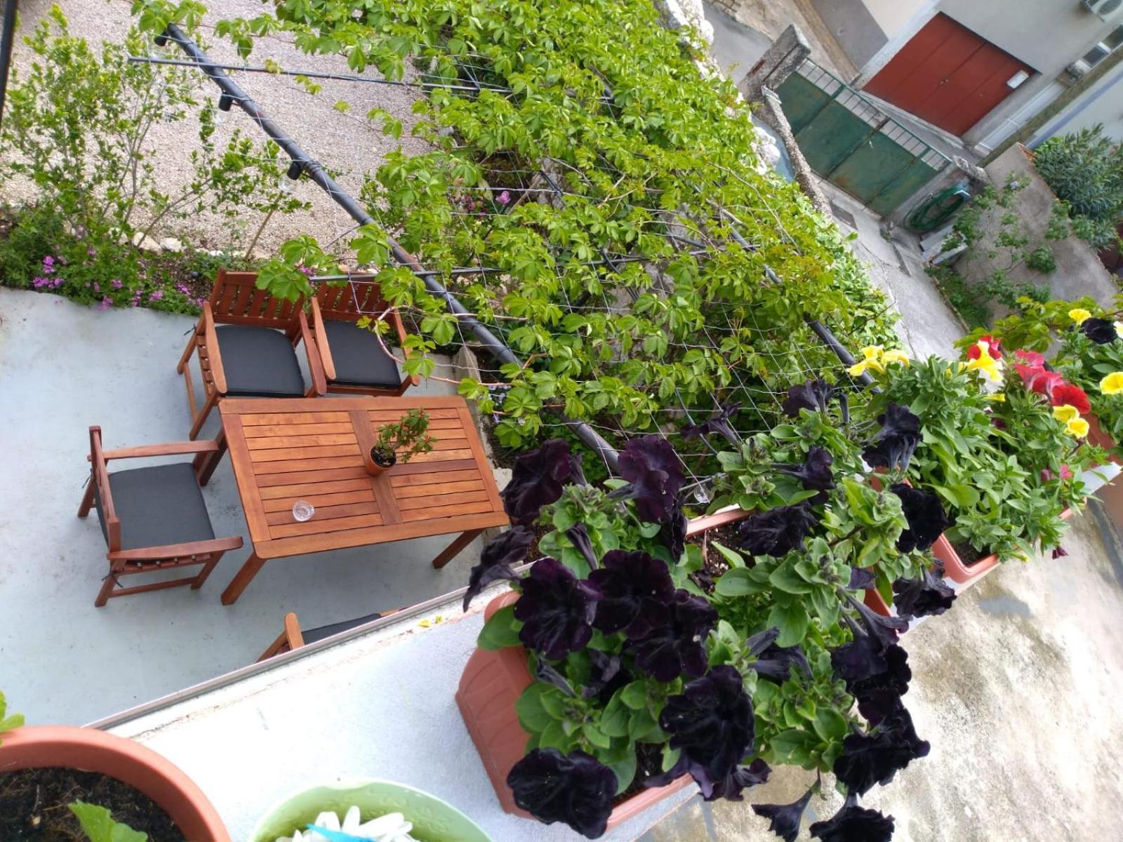 Green Oasis City Center Apartment シベニク エクステリア 写真